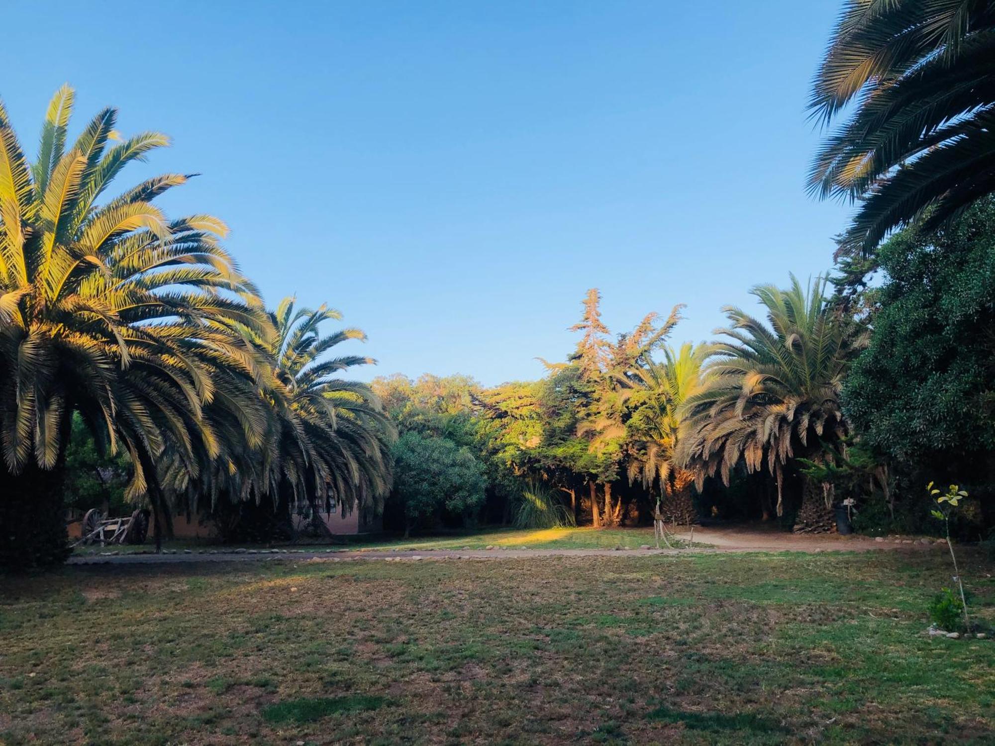 Glamping El Arbol - Naturaleza Y Mar * La Serena