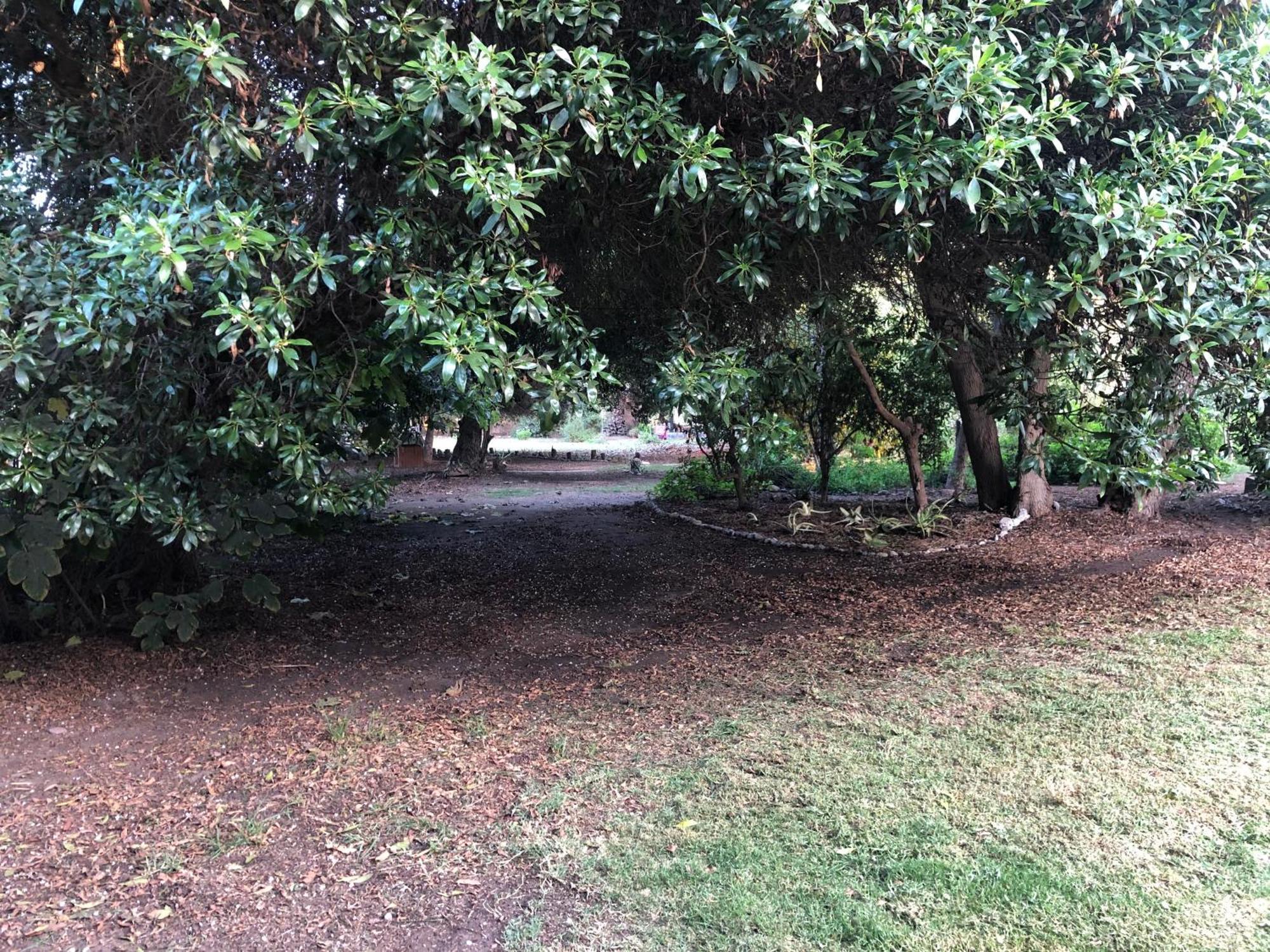 Alojamento Glamping El Arbol - Naturaleza Y Mar La Serena