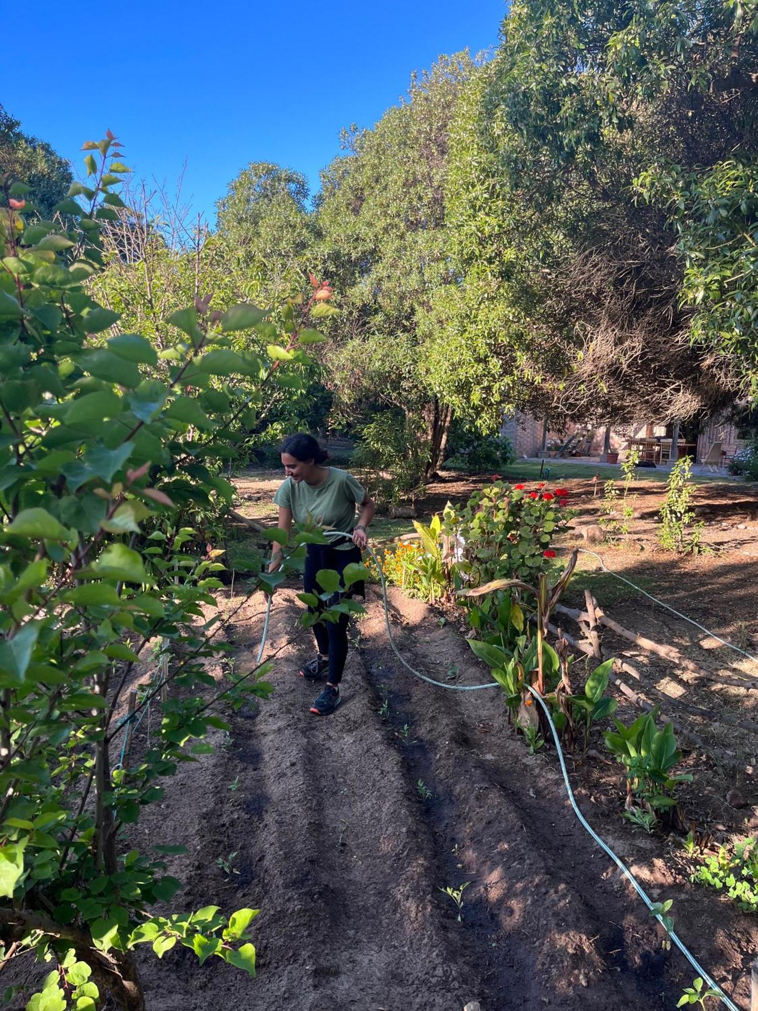 Glamping El Arbol - Naturaleza Y Mar * La Serena