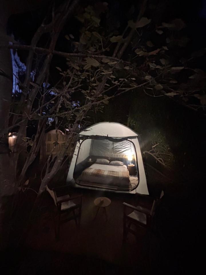 Glamping El Arbol - Naturaleza Y Mar