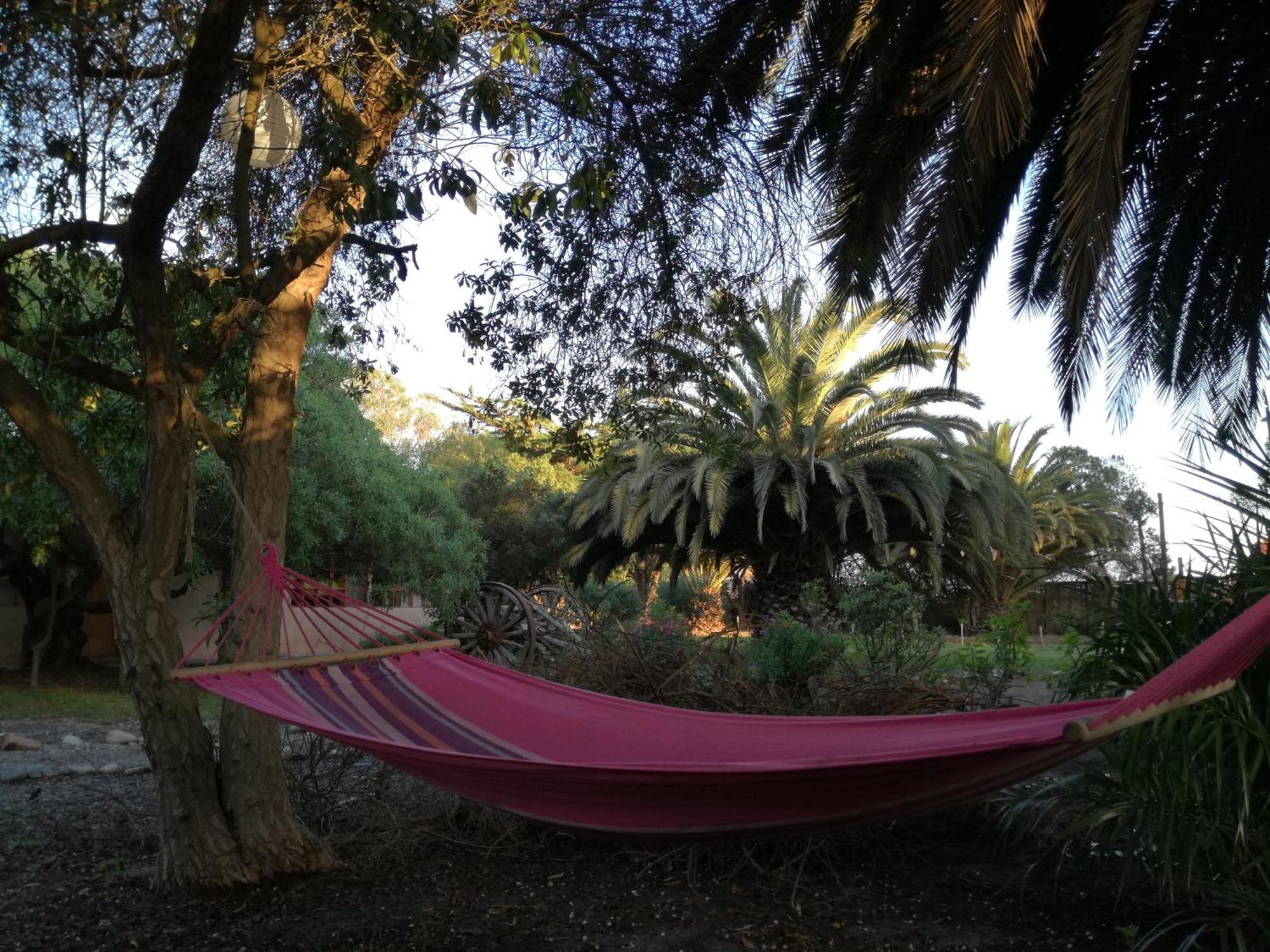 Alojamento Glamping El Arbol - Naturaleza Y Mar La Serena