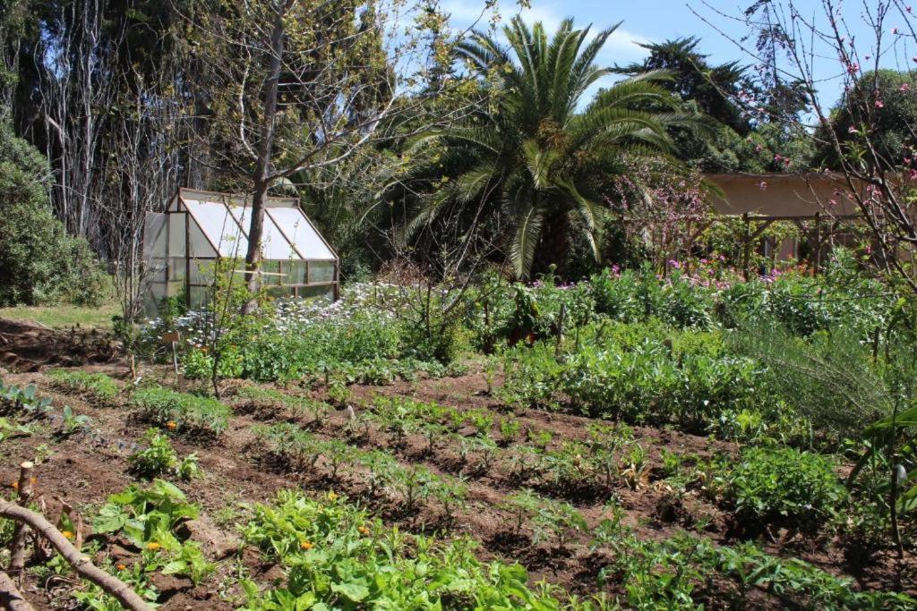 Glamping El Arbol - Naturaleza Y Mar
