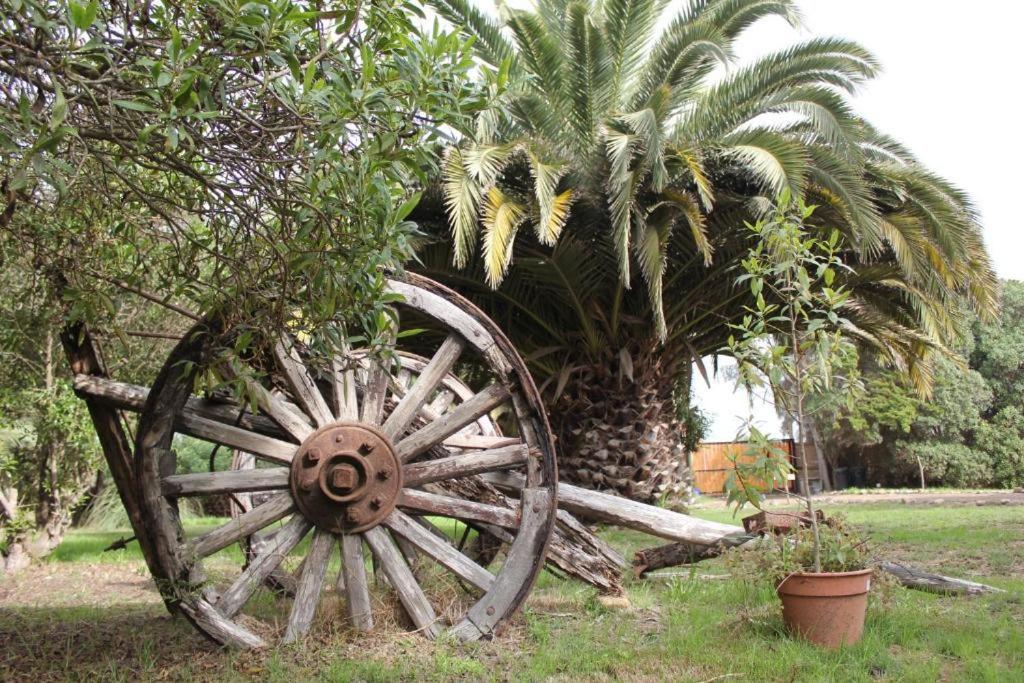 Glamping El Arbol - Naturaleza Y Mar Alojamento