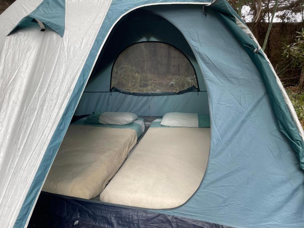 Alojamento Glamping El Arbol - Naturaleza Y Mar *