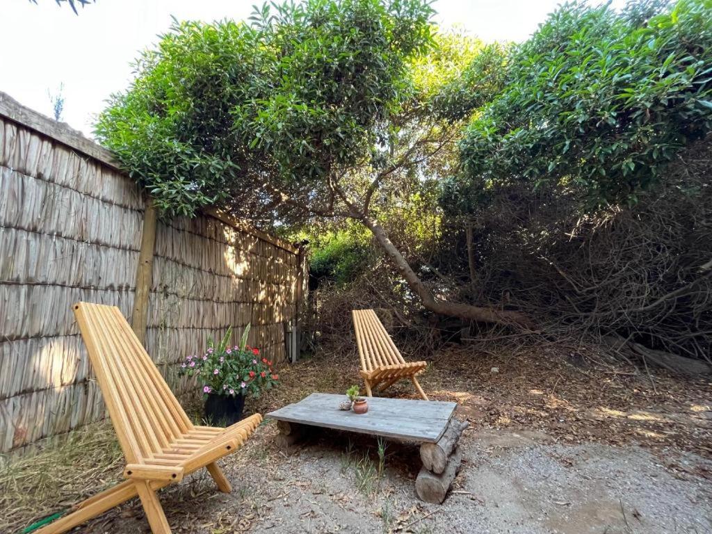Alojamento Glamping El Arbol - Naturaleza Y Mar