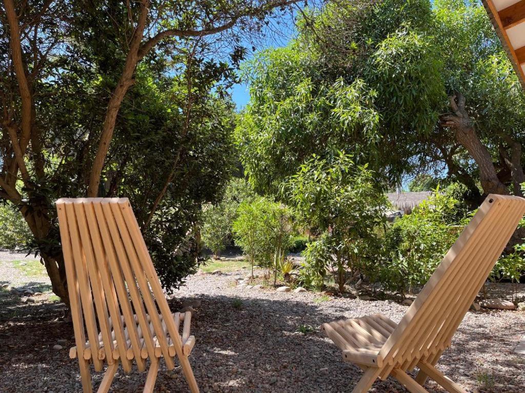 Glamping El Arbol - Naturaleza Y Mar La Serena