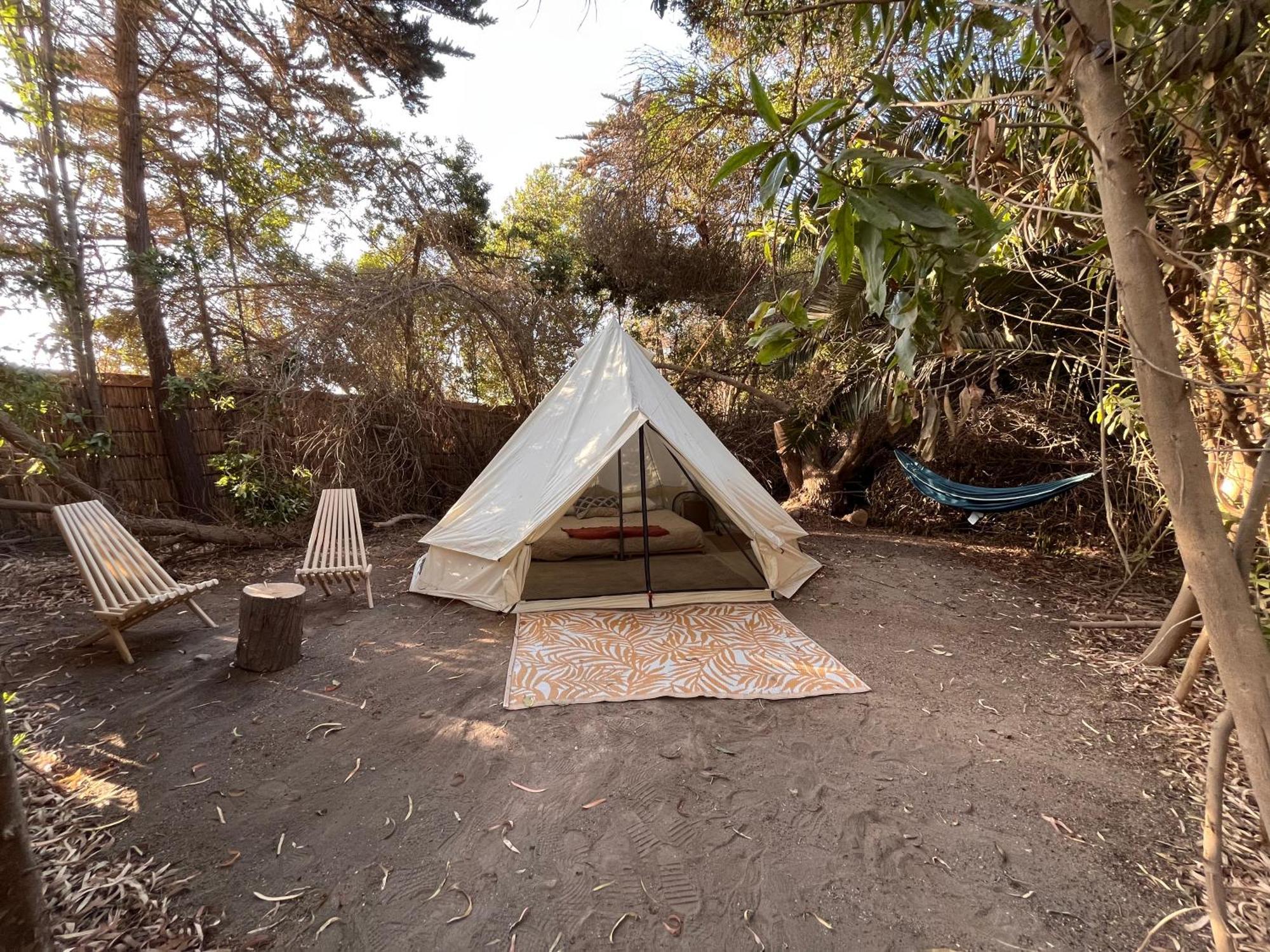 Alojamento Glamping El Arbol - Naturaleza Y Mar *