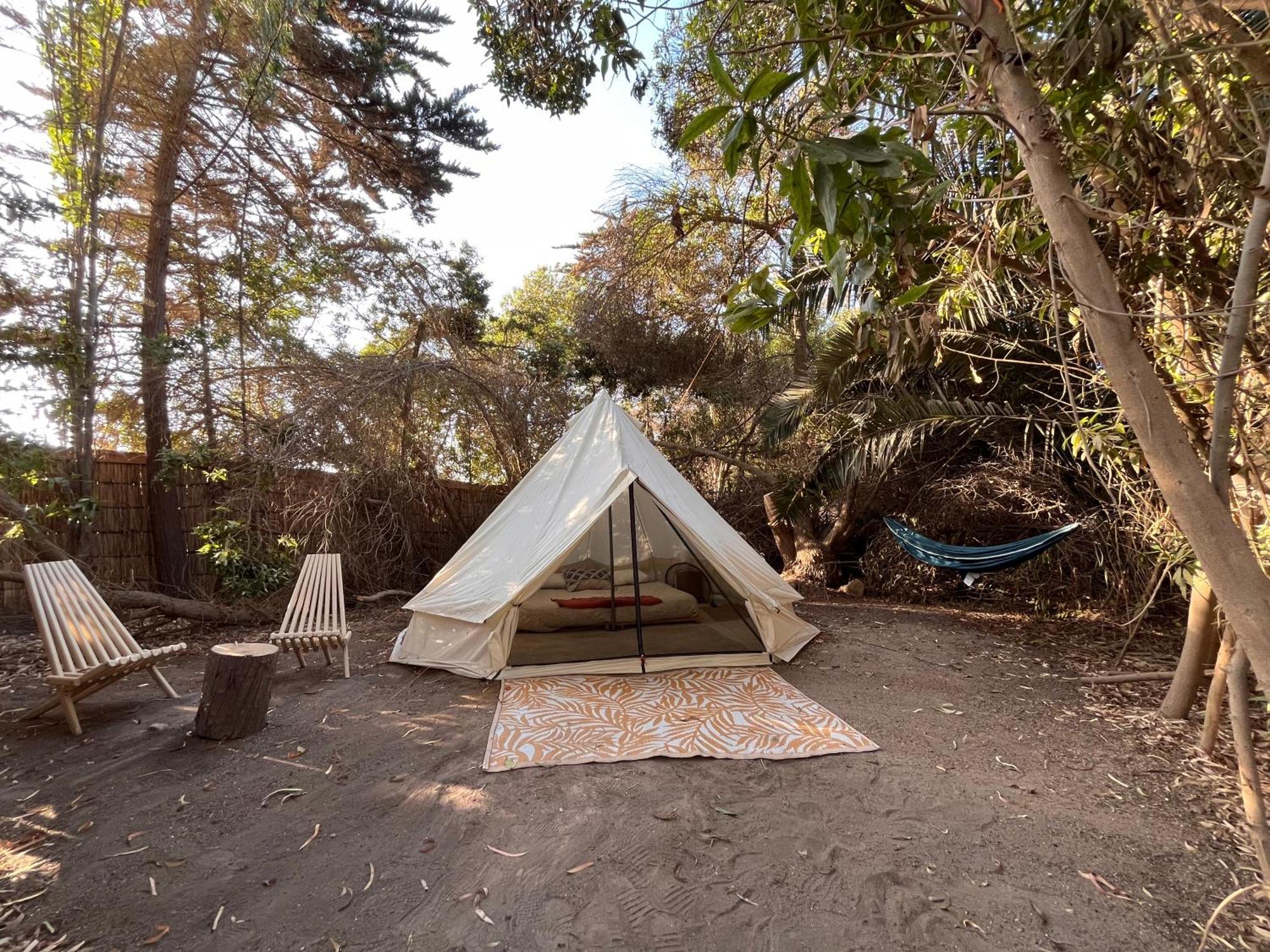 Glamping El Arbol - Naturaleza Y Mar * La Serena